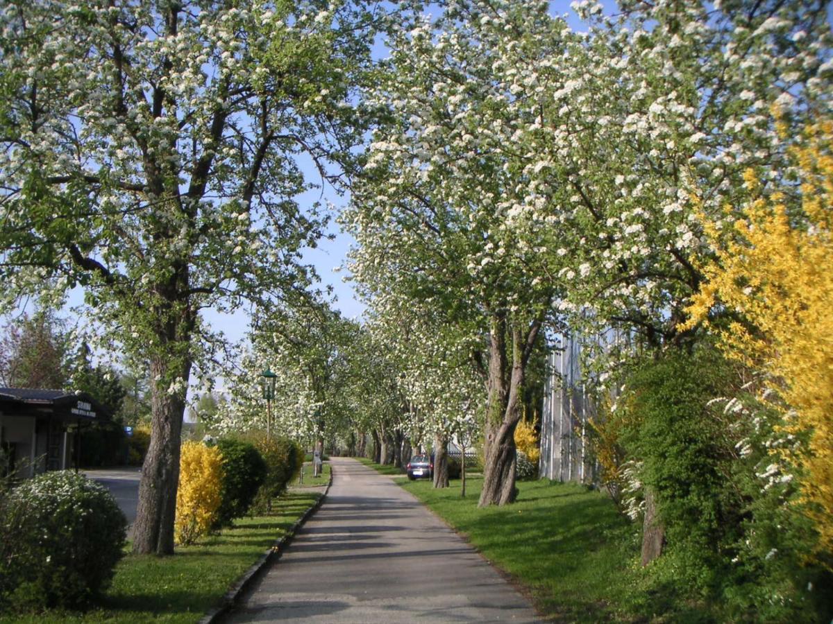 Apartamento Ferien-Garconniere Hemetsberger Weyregg Exterior foto
